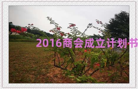 2016商会成立计划书