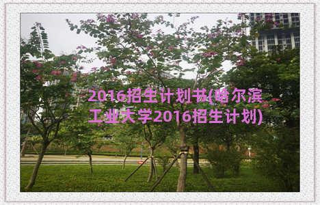 2016招生计划书(哈尔滨工业大学2016招生计划)