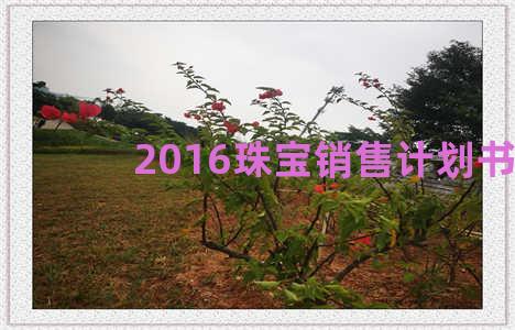 2016珠宝销售计划书