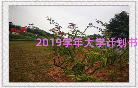 2019学年大学计划书