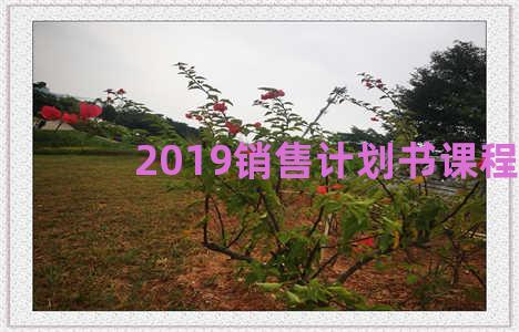 2019销售计划书课程