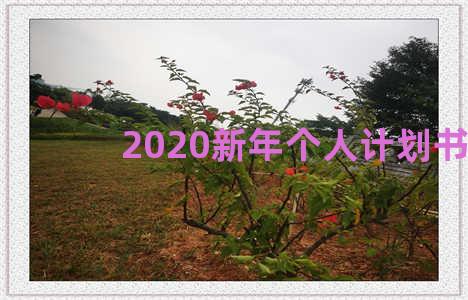 2020新年个人计划书