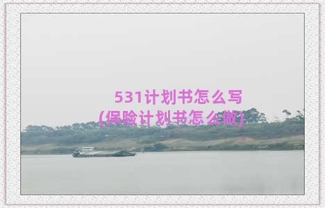 531计划书怎么写(保险计划书怎么做)