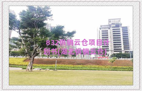 832供销云仓项目计划书(湖北供销云仓)