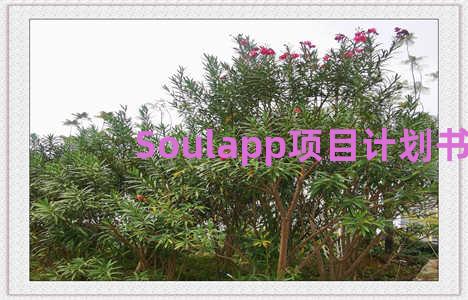 Soulapp项目计划书