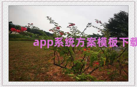 app系统方案模板下载