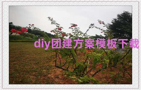 diy团建方案模板下载