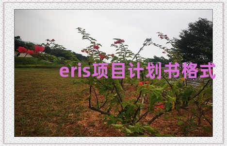 eris项目计划书格式