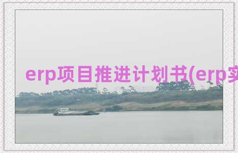 erp项目推进计划书(erp实施项目)