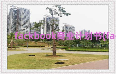 fackbook商业计划书(facebook股票)