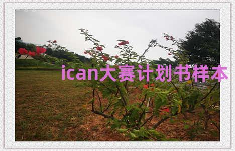 ican大赛计划书样本