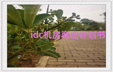 idc机房商业计划书