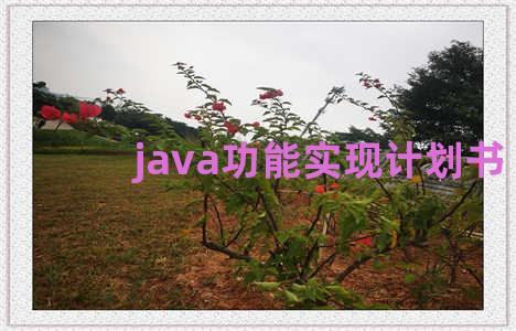 java功能实现计划书