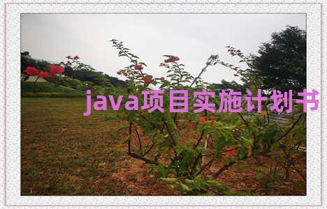 java项目实施计划书