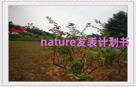 nature发表计划书