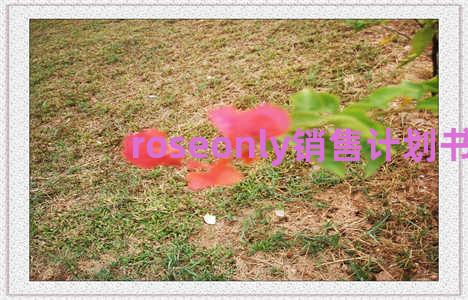 roseonly销售计划书