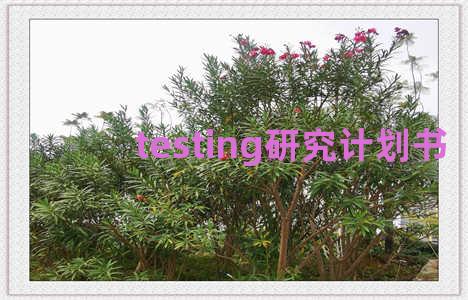 testing研究计划书