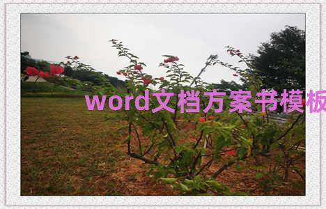 word文档方案书模板