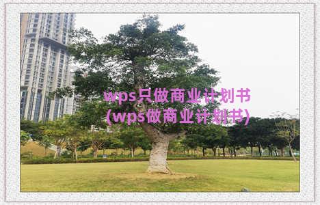 wps只做商业计划书(wps做商业计划书)