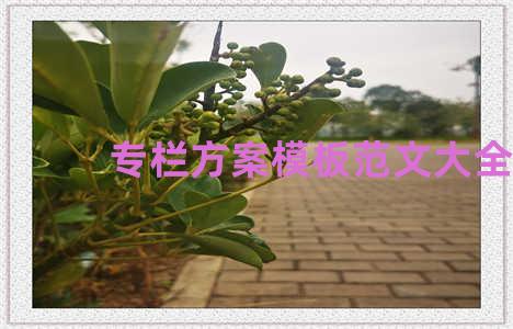 专栏方案模板范文大全