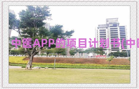 中医APP的项目计划书(中医药的app)