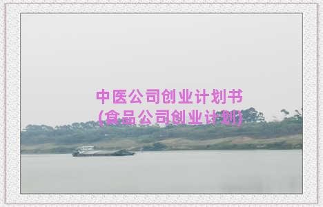 中医公司创业计划书(食品公司创业计划)