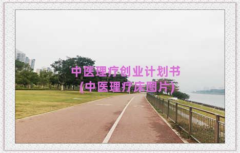 中医理疗创业计划书(中医理疗床图片)