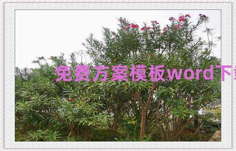 免费方案模板word下载