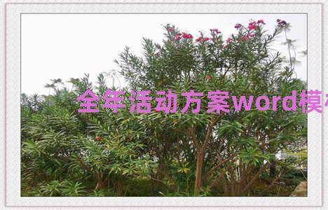 全年活动方案word模板