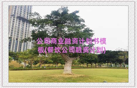 公司商业融资计划书模板(餐饮公司融资计划)