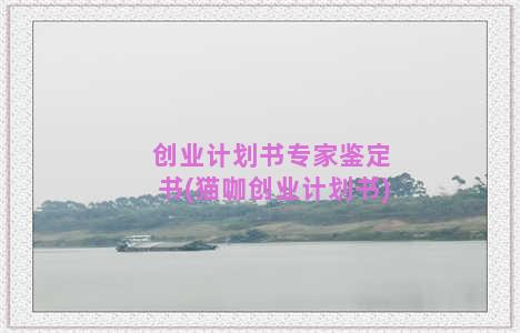 创业计划书专家鉴定书(猫咖创业计划书)