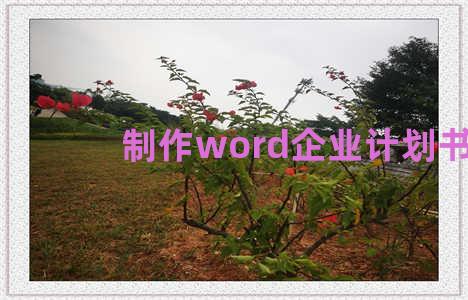 制作word企业计划书