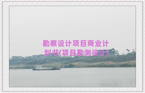 勘察设计项目商业计划书(项目勘测设计)