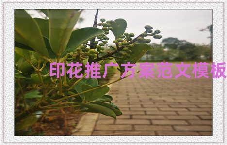 印花推广方案范文模板