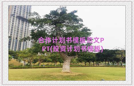 合作计划书模板范文PPT(投资计划书模板)