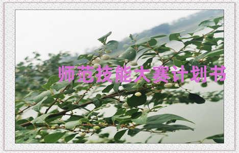 师范技能大赛计划书