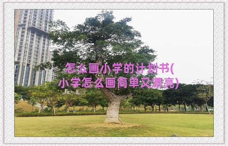 怎么画小学的计划书(小学怎么画简单又漂亮)