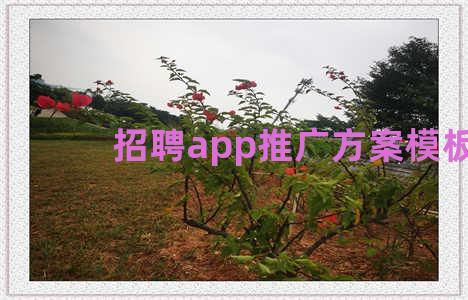 招聘app推广方案模板