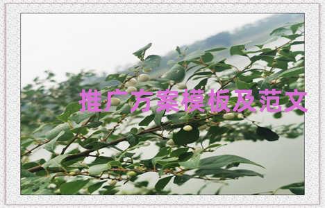 推广方案模板及范文