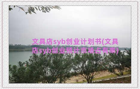 文具店syb创业计划书(文具店syb创业预计市场占有率)