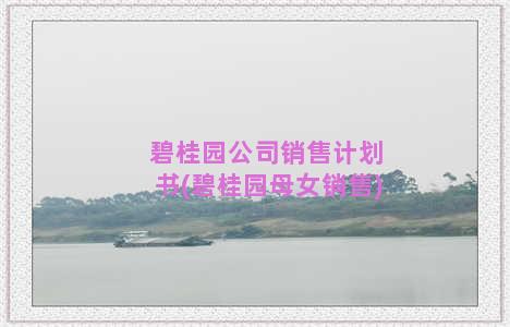 碧桂园公司销售计划书(碧桂园母女销售)