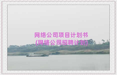 网络公司项目计划书(网络公司招聘计划)