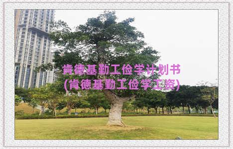 肯德基勤工俭学计划书(肯德基勤工俭学工资)