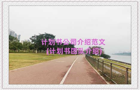 计划书公司介绍范文(计划书团队介绍)