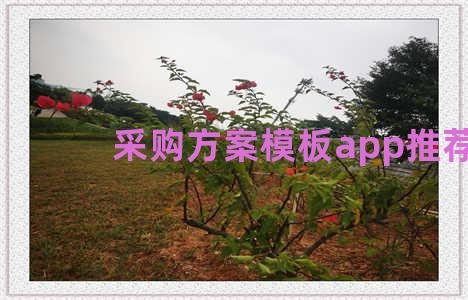 采购方案模板app推荐