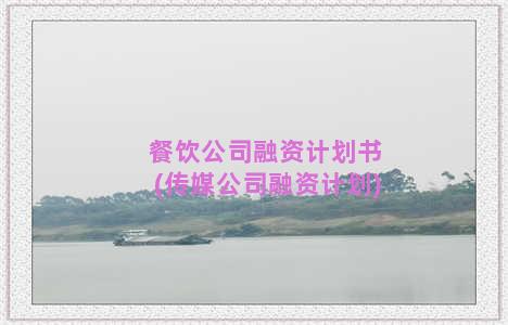 餐饮公司融资计划书(传媒公司融资计划)